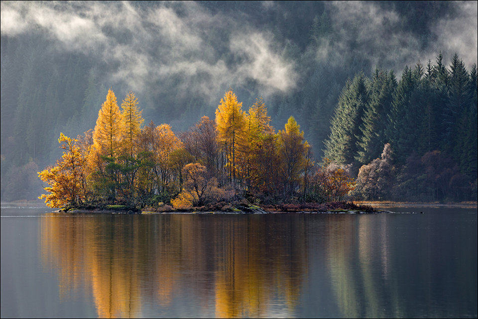 Calm Morning