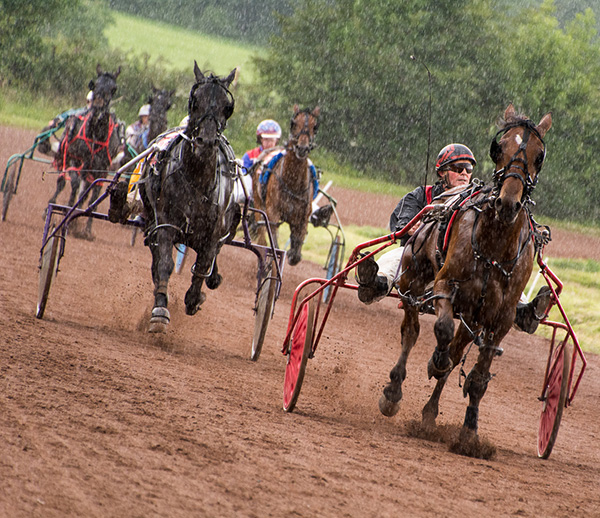 Racing in the Rain