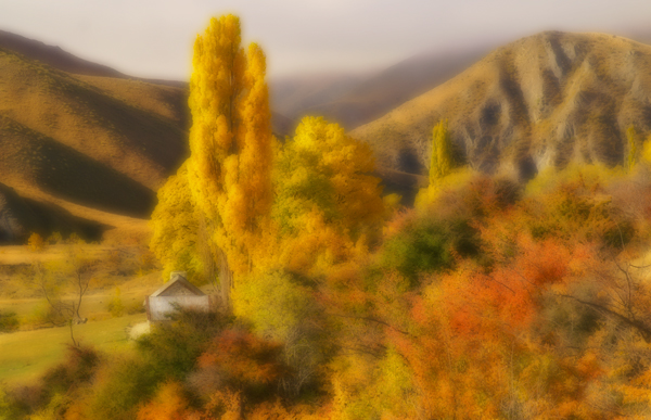 Autumn Retreat