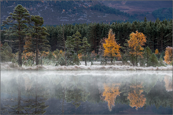 Morning Mist