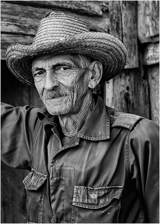 Tobacco Farmer
