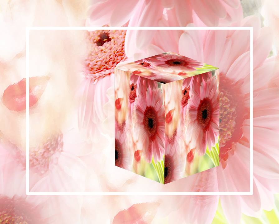 A Perfume for Todays Woman