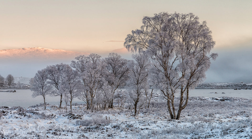 Morning Rannoch Moor
