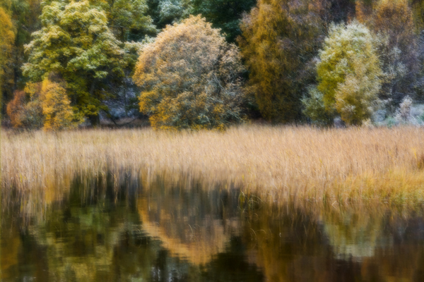 Autumn Reflections