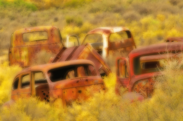 Rusty Remains