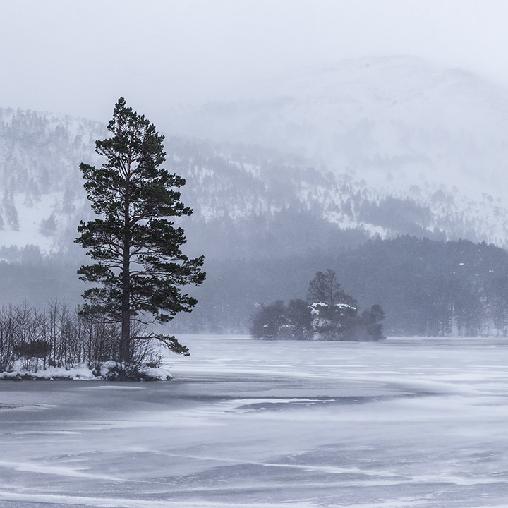 Loch an Eilein Blizzard