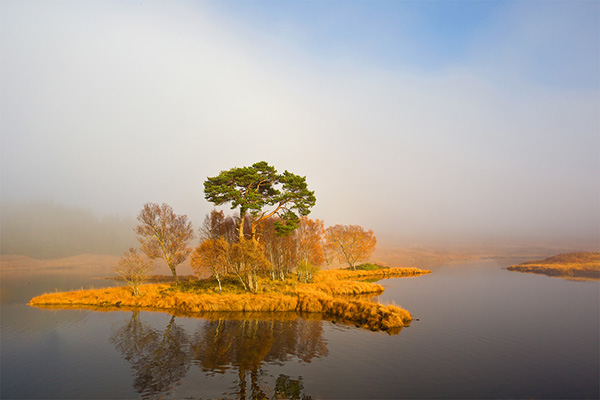 Clearing Mist
