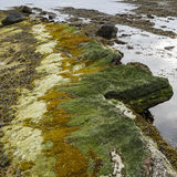 Along the Edge