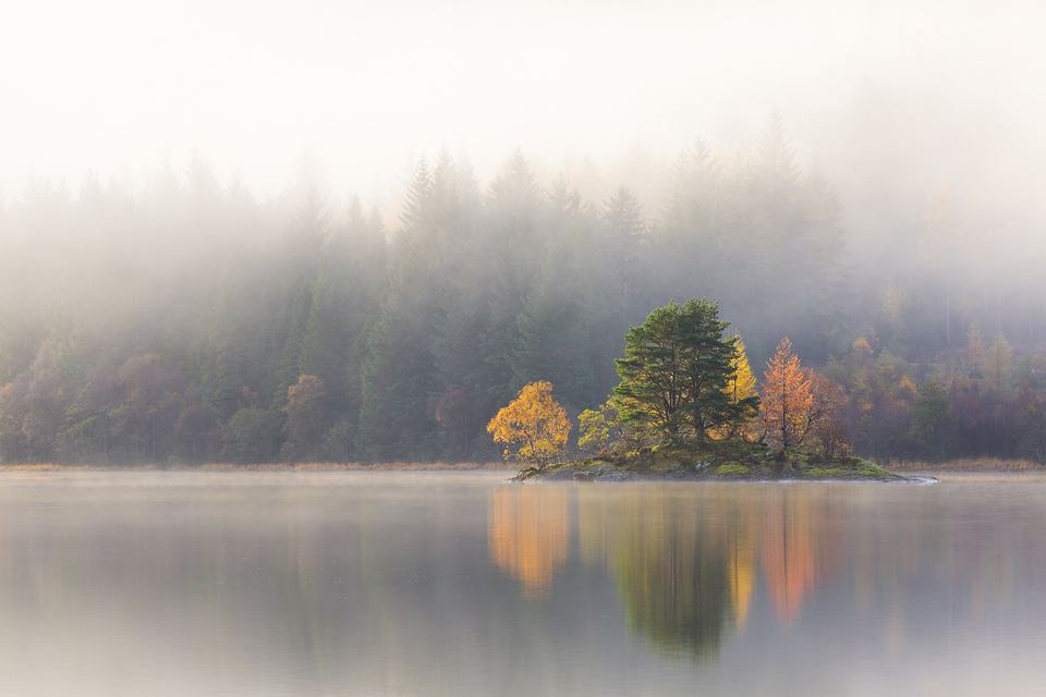 Autumn Hues