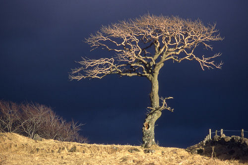 Before the Storm