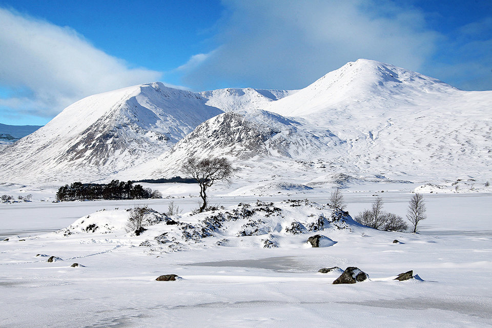 Blue Sky and Winter's Snow