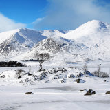 Blue Sky and Winter's Snow