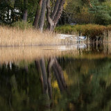 Boat and Loch Reflections