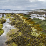 Coastal Colours