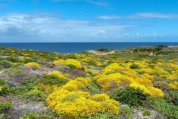 Colourfull Clifftop