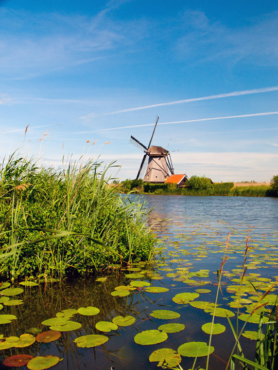 Dutch Windmill