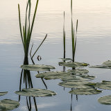 Edge of the Loch