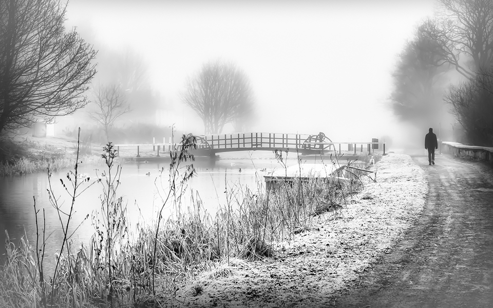Foggy Morning