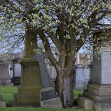 Gravestones