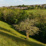 Gryffe Valley