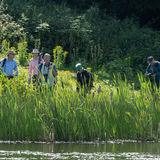 Shewalton Sandpits SWT reserve