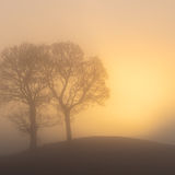 January - Winter Glow, Torr Road