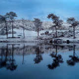 Knapps Loch Reflections
