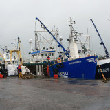 Landing the Queenies at Kircudbright Harbour