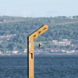 Left Hanging