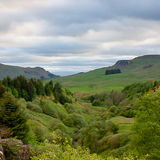 Looking down the valley