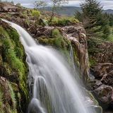 Loup of Fintry