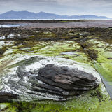 Low Tide