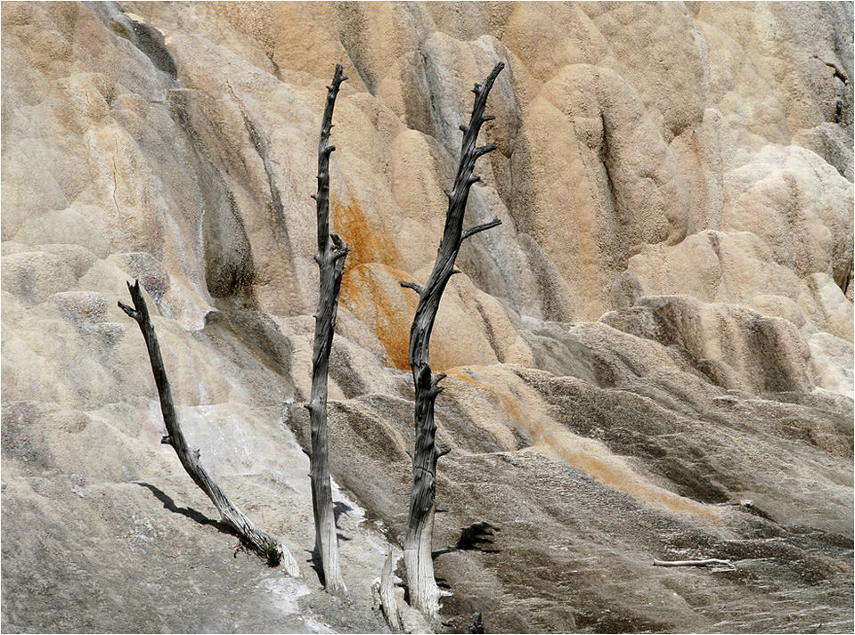 Mammoth Hot Springs