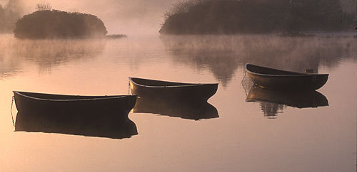 Misty Morning