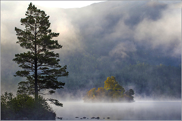 Morning Mist