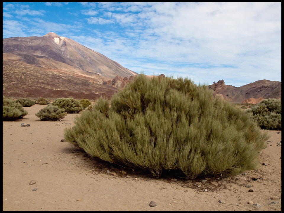 Mount Tiede
