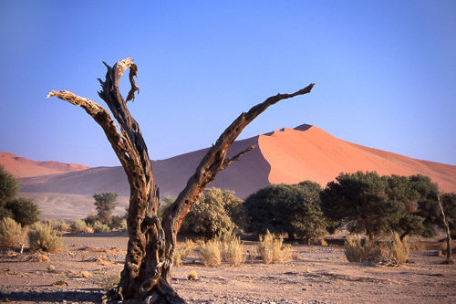 Namib
