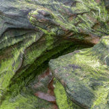 Natural Design