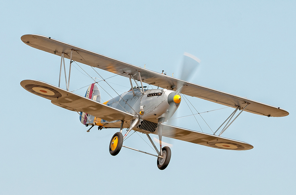 Nimrod