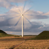 Lone Turbine at Whitelee