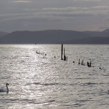 Port Glasgow Evening