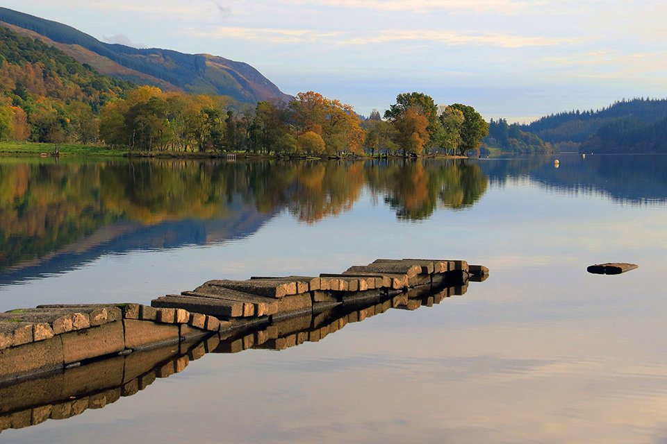 Subtle Colours of Autumn
