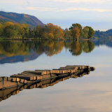Subtle Colours of Autumn