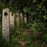 Steps to the Beach (39?)
