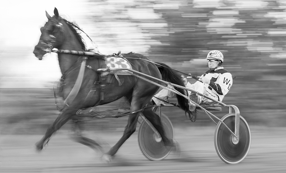 Trotting