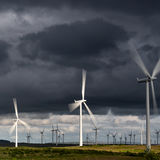 Turbine Forest