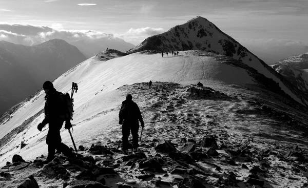 Wee Buchaille