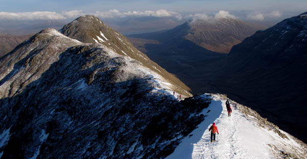 Wee Buchaille2