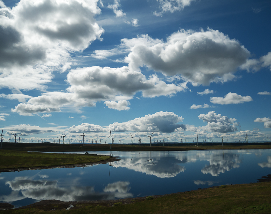 A calm morning at Whitelee