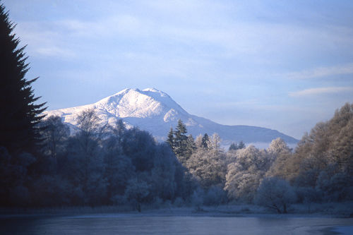 Winter's Morn